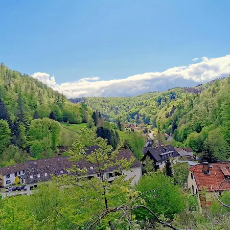 Vor Lauter Baeumen Konukevi Zorge