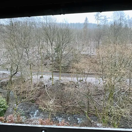 Vor Lauter Baeumen 4* Zorge