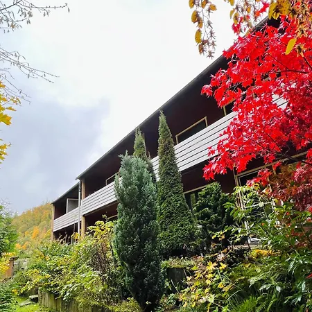 Vor Lauter Baeumen Konukevi Zorge