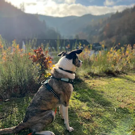 Vendégház Vor Lauter Baeumen Zorge