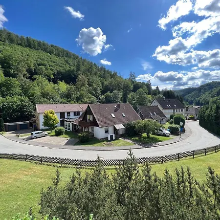 Vor Lauter Baeumen Konukevi Zorge