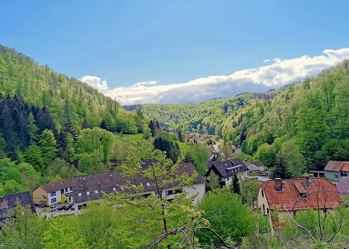 Vor Lauter Baeumen 招待所 Zorge