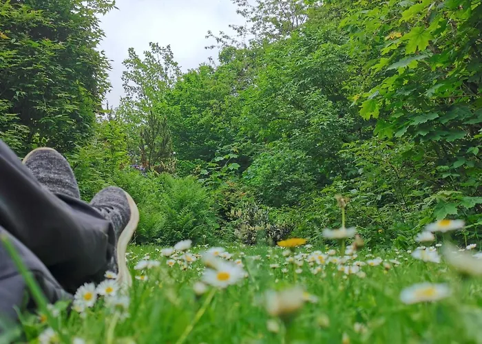 Vor Lauter Baeumen Zorge