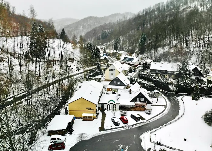 招待所 Vor Lauter Baeumen