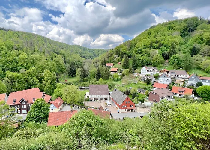 招待所 Vor Lauter Baeumen