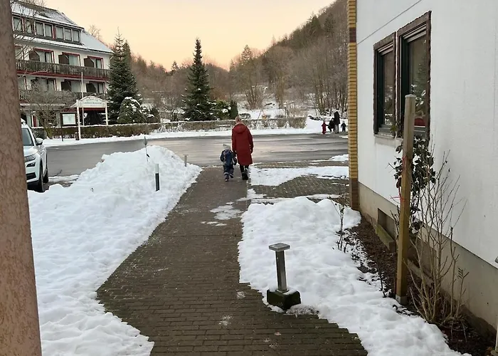 招待所 Vor Lauter Baeumen Zorge