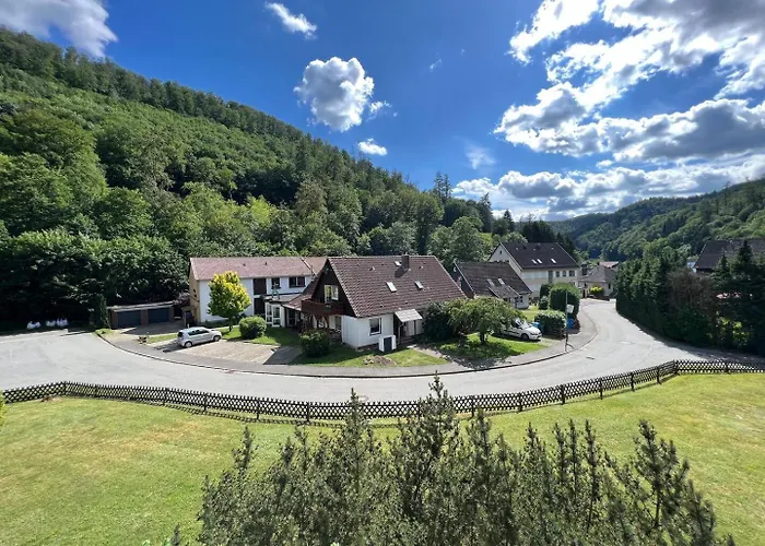 Vor Lauter Baeumen 招待所 Zorge