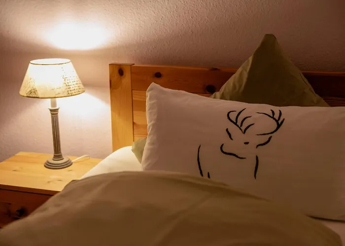 招待所 Vor Lauter Baeumen Zorge